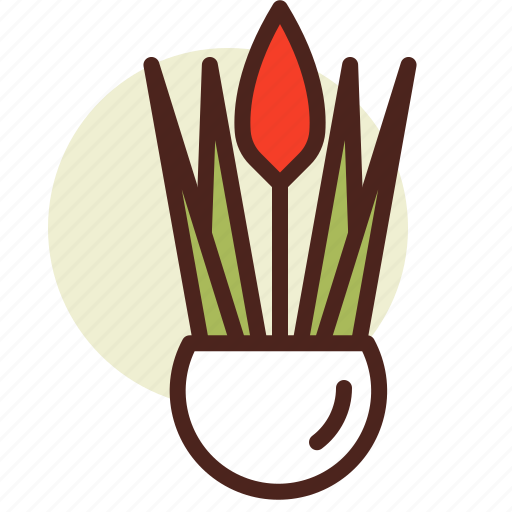 Aloe, decor, flower, green, nature icon - Download on Iconfinder