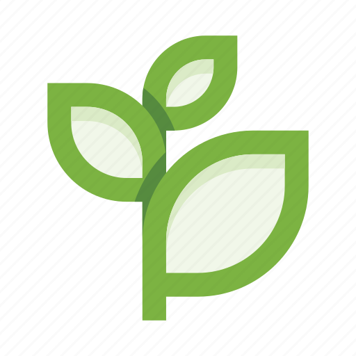 Branch, leaves, botany, plant, leaf, ecology, herb icon - Download on Iconfinder