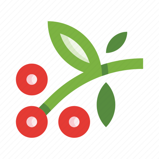Coffee, grains, beans, branch, berries, garden icon - Download on Iconfinder