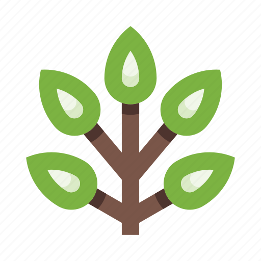 Herb, branch, plant, nature, flower, botany, leaves icon - Download on Iconfinder