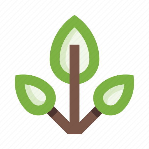 Herb, branch, leaves, botany, plant, garden, ecology icon - Download on Iconfinder