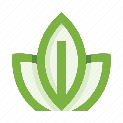 Plants, herb, leaves, leaf, nature, plant, botany icon - Download on Iconfinder