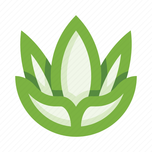Herb, leaves, botany, plant, nature, flower, garden icon - Download on Iconfinder