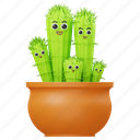 cactus, family, plant 