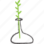 branch, decoration, green, plant, stick, vase 