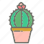 cactus, garden, leaves, nature, plant, plants, pot 