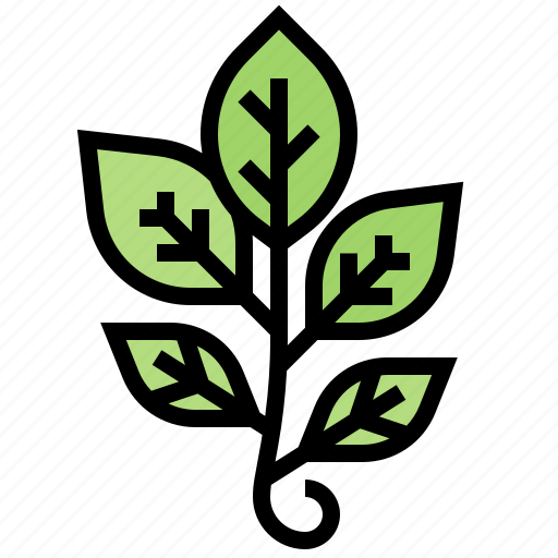 Branch, compound, leaves, nature, plant icon - Download on Iconfinder