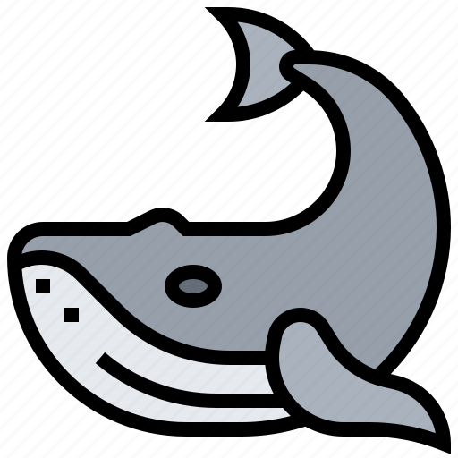 Life, mammal, marine, ocean, whale icon - Download on Iconfinder