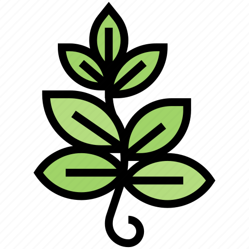 Leaf, plant, vines, nature, garden icon - Download on Iconfinder