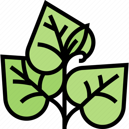 Leaf, sprout, plant, herb, garden icon - Download on Iconfinder
