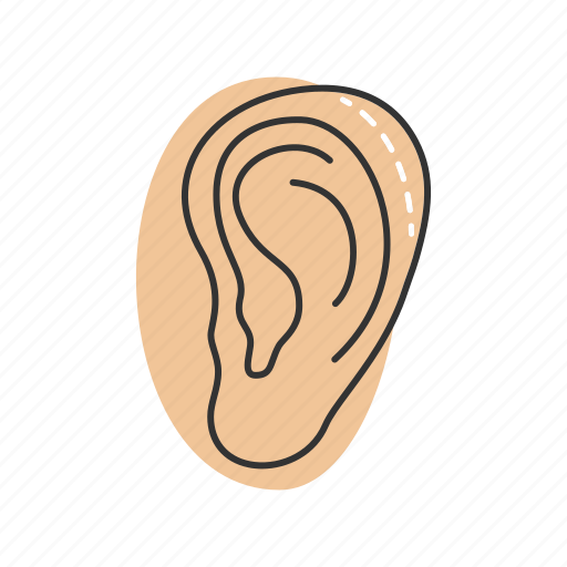 Ear, otoplasty, pinna, plastic surgery, removal, reshaping, surgery icon - Download on Iconfinder