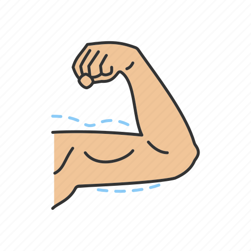 Arm, arm lift, biceps, brachioplasty, implant, plastic surgery, reshaping icon - Download on Iconfinder