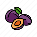 plum, purple, slice, bunch, fruit, green