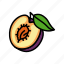 plum, seed, cut, leaf, fruit, green 