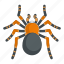 animal, arachnid, asp94, bug, cartoon, object, tarantula 