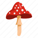 autumn, beautiful, cartoon, mushroom, object, poison