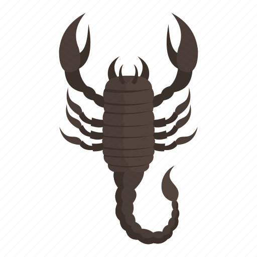 Aggression, animal, cartoon, danger, object, scorpion icon - Download on Iconfinder