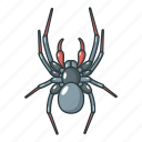 animal, arachnid, bug, cartoon, logo, object, spider