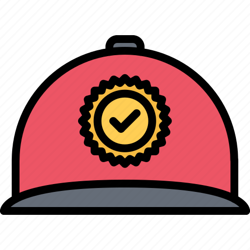Agitation, cap, check, politics, vote, voter, voting icon - Download on Iconfinder