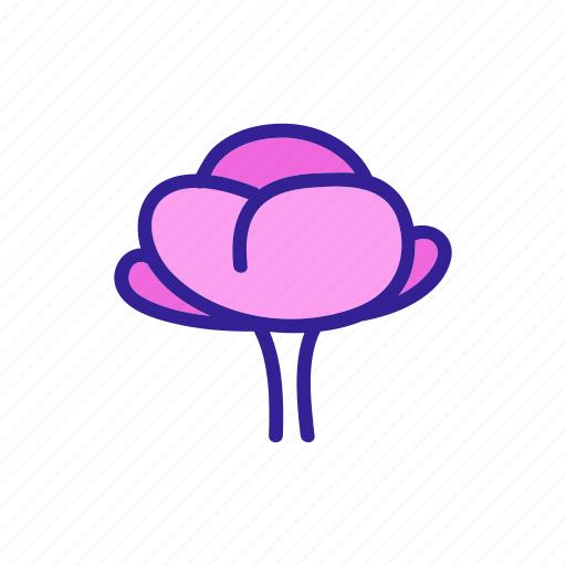 Bouquet, bud, natural, petals, plant, poppy, seeds icon - Download on Iconfinder