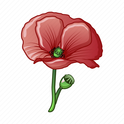 Cartoon, drug, flora, floral, flower, opium, poppy icon - Download on Iconfinder