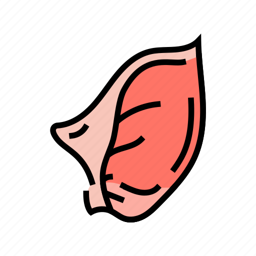 Ear, pig, animal, pork, farm, piglet icon - Download on Iconfinder