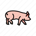 running, pig, farm, pork, animal, piglet