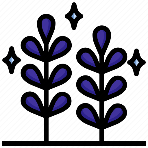 Nature, plant, lavender, botanical, flower icon - Download on Iconfinder