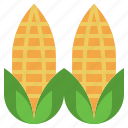 corn, organic, cereal, restaurant, food