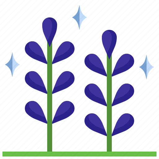 Flower, botanical, lavender, plant, nature icon - Download on Iconfinder