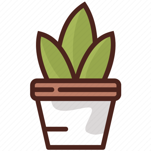 Cactus, flower, eco, floral, leaf, nature, plant icon - Download on Iconfinder