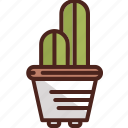 cactus, decoration, eco, flower, nature, plant, tree