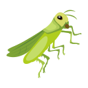 praying mantis icons, cute mantis, mantodea, leaf mantis, stick insect