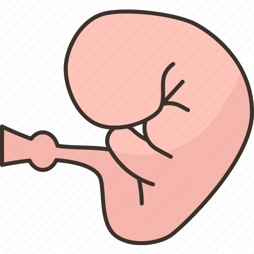 Embryo, human, fertility, gynecology, life icon - Download on Iconfinder