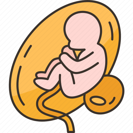 Fetus, womb, pregnancy, childbirth, baby icon - Download on Iconfinder
