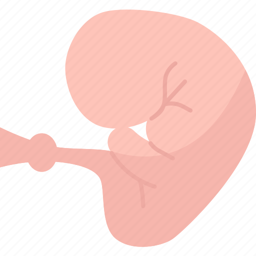 Embryo, human, fertility, gynecology, life icon - Download on Iconfinder