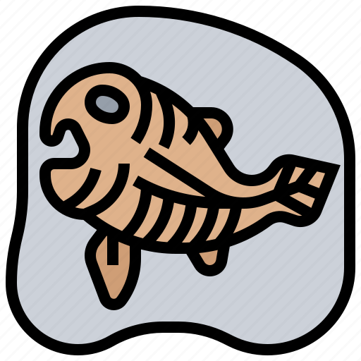 Fish, fossil, paleontology, skeleton, stone icon - Download on Iconfinder