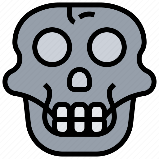 Anatomy, monkey, paleontology, primate, skull icon - Download on Iconfinder