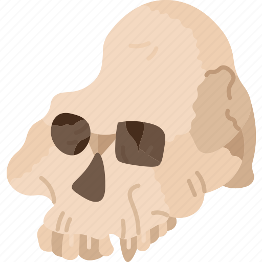 Skull, archaeology, ancient, evolution, prehistory icon - Download on Iconfinder