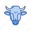 animal, bull, bull market, stock marketing 