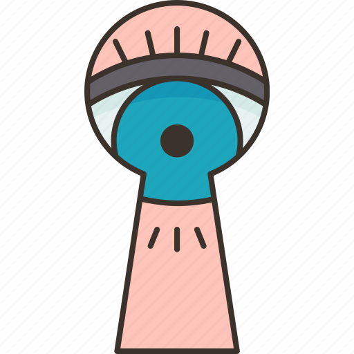 Keyhole, looking, stalker, privacy, security icon - Download on Iconfinder