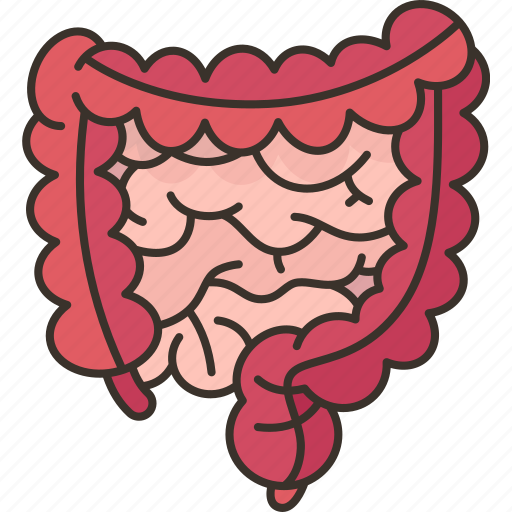 Gut, intestine, abdominal, organ, health icon - Download on Iconfinder