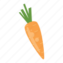 carrot, carrots, food, juicing, kitchen, vegetarian, veggies