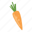 carrot, carrots, food, juicing, kitchen, vegetarian, veggies 