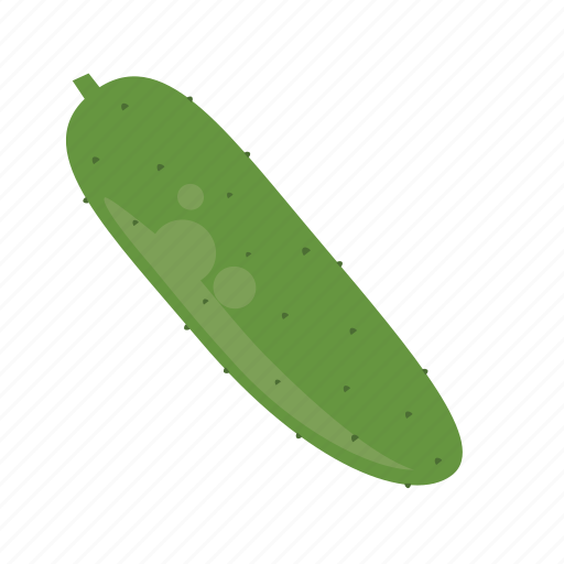 Cooking, cucumer, food, produce, salad, vegetable, veggies icon - Download on Iconfinder