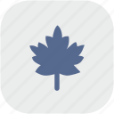 canada, leaf, nature, rounded, square