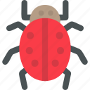 bug, scary, animal, nature, insect