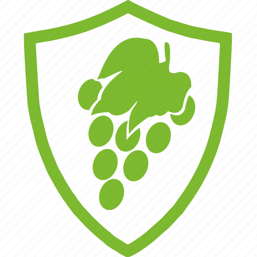 Flat, grapes, protection, agricultural, fruit, plants icon - Download on Iconfinder