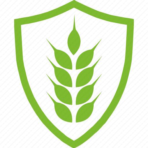 Flat, protection, rye, agricultural, plants icon - Download on Iconfinder