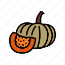 pumpkin, piece, halloween, autumn, orange, thanksgiving
